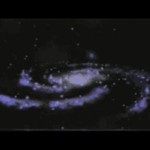 Meet your Posher, Moriah